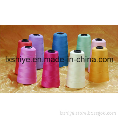 Spun Polyester Hank Yarn 40s/2, Bag Sewing Yarn